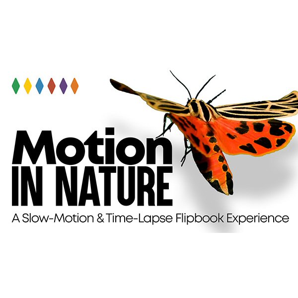 Motion in Nature - A Flipbook Experience